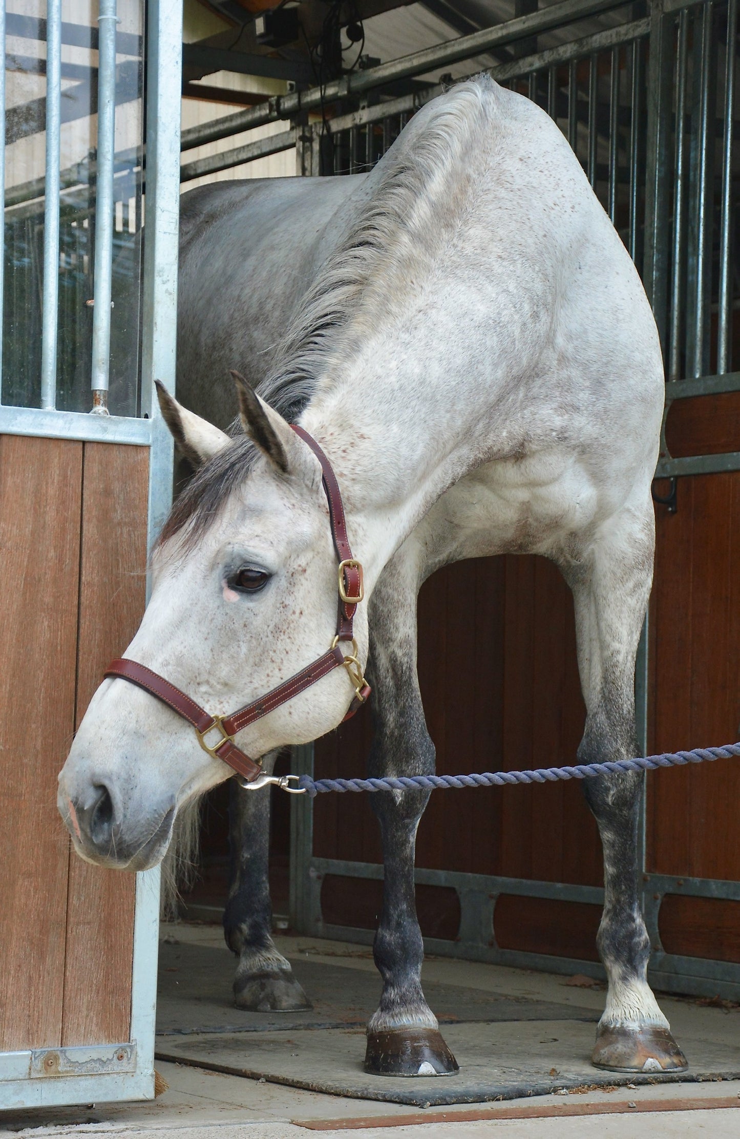 Everyday Silver