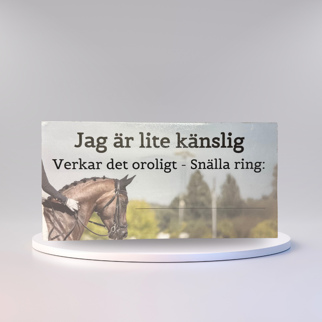 Bilmagnet med ICE-info